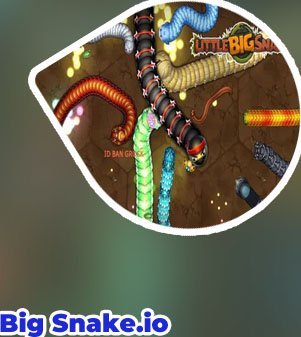 Big snake game
