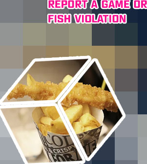 Fish and game near me