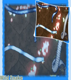 Free snake game