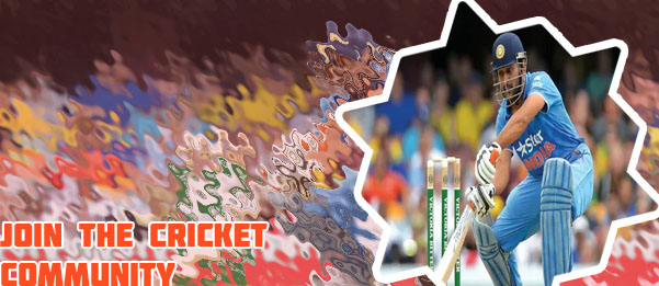 In play cricket